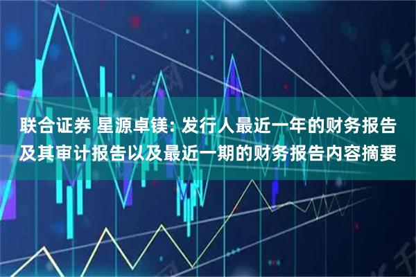 联合证券 星源卓镁: 发行人最近一年的财务报告及其审计报告以及最近一期的财务报告内容摘要