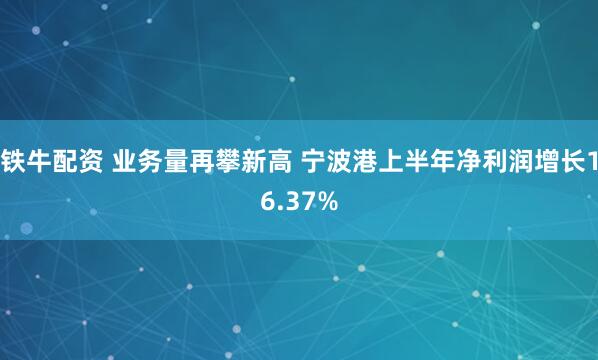 铁牛配资 业务量再攀新高 宁波港上半年净利润增长16.37%