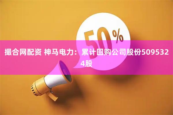 撮合网配资 神马电力：累计回购公司股份5095324股