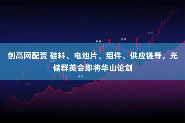 创高网配资 硅料、电池片、组件、供应链等，光储群英会即将华山论剑