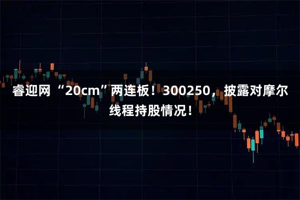 睿迎网 “20cm”两连板！300250，披露对摩尔线程持股情况！