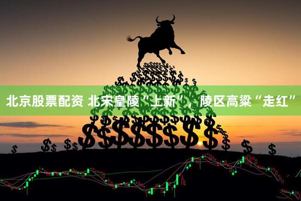 北京股票配资 北宋皇陵“上新”,陵区高粱“走红”