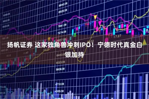 扬帆证券 这家独角兽冲刺IPO！宁德时代真金白银加持
